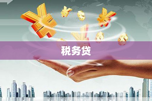湘潭税务贷