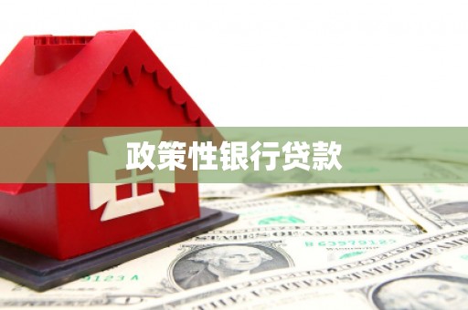 湘潭政策性银行贷款