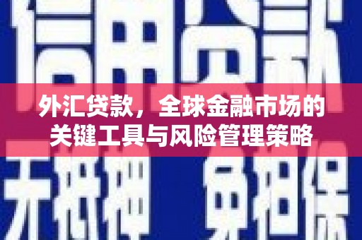 湘潭外汇贷款，全球金融市场的关键工具与风险管理策略
