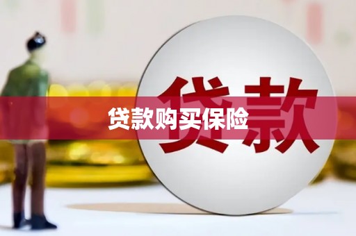 湘潭贷款购买保险