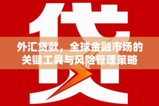 湘潭外汇贷款，全球金融市场的关键工具与风险管理策略