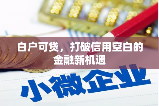 湘潭白户可贷，打破信用空白的金融新机遇