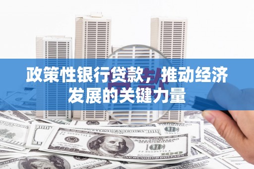 湘潭政策性银行贷款，推动经济发展的关键力量