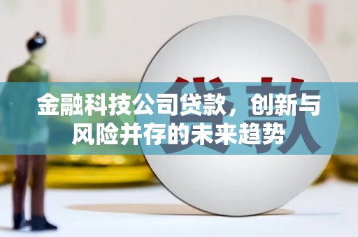 湘潭金融科技公司贷款，创新与风险并存的未来趋势