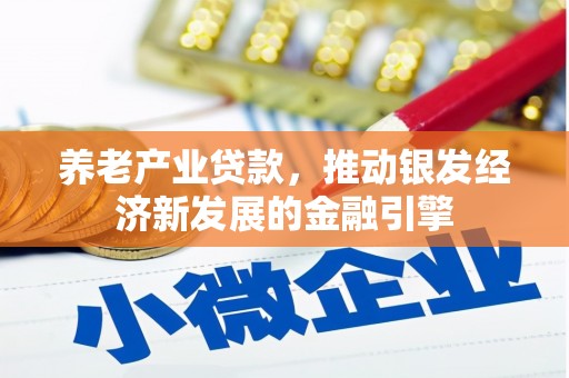 湘潭养老产业贷款，推动银发经济新发展的金融引擎