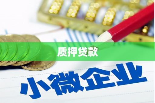湘潭质押贷款