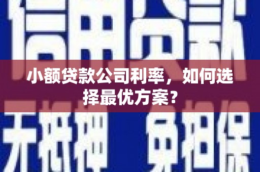 湘潭小额贷款公司利率，如何选择最优方案？