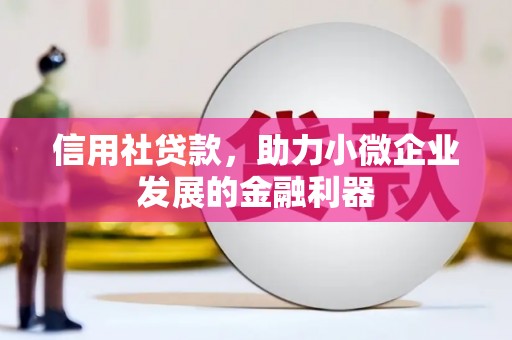 湘潭信用社贷款，助力小微企业发展的金融利器