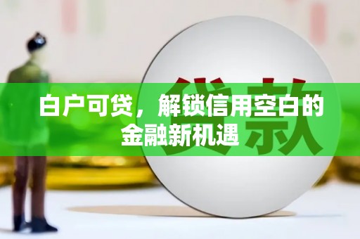湘潭白户可贷，解锁信用空白的金融新机遇