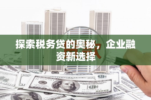 湘潭探索税务贷的奥秘，企业融资新选择