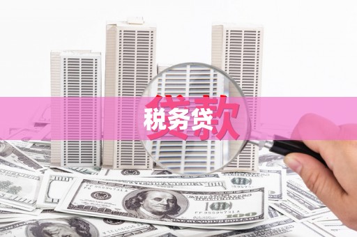 湘潭税务贷