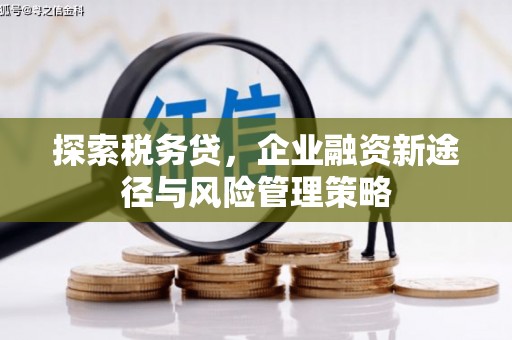 湘潭探索税务贷，企业融资新途径与风险管理策略