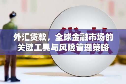 湘潭外汇贷款，全球金融市场的关键工具与风险管理策略