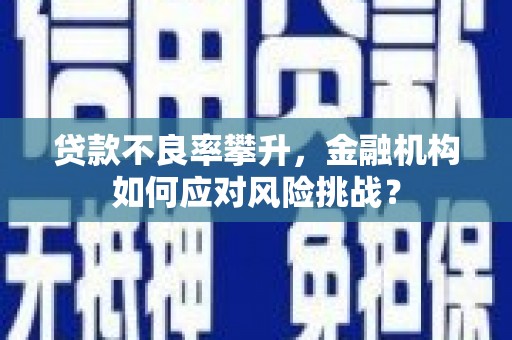 湘潭贷款不良率攀升，金融机构如何应对风险挑战？