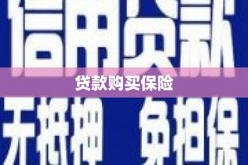 湘潭贷款购买保险