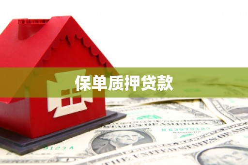 湘潭保单质押贷款