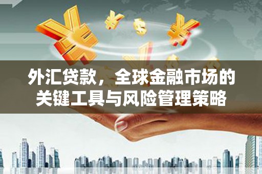 湘潭外汇贷款，全球金融市场的关键工具与风险管理策略