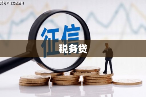 湘潭税务贷