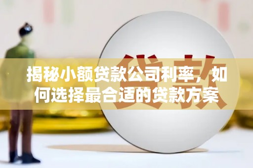 湘潭揭秘小额贷款公司利率，如何选择最合适的贷款方案