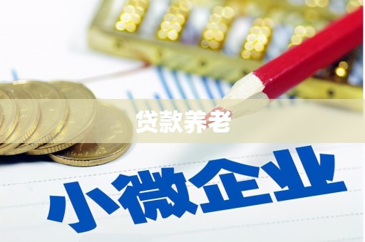 湘潭贷款养老