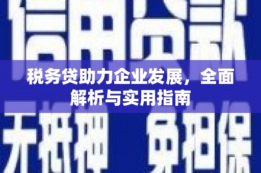 湘潭税务贷助力企业发展，全面解析与实用指南