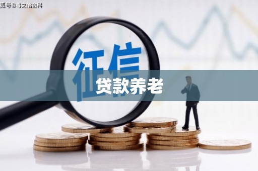 湘潭贷款养老