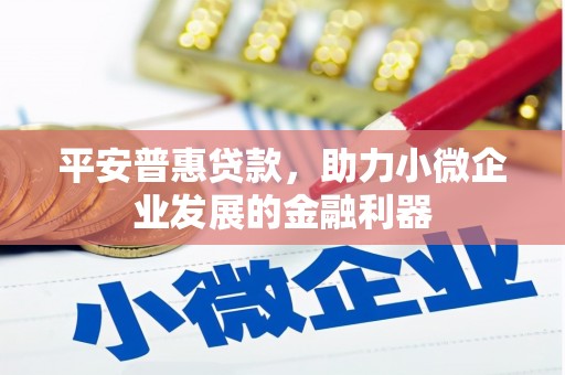 湘潭平安普惠贷款，助力小微企业发展的金融利器