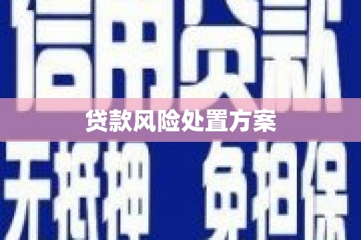 湘潭贷款风险处置方案